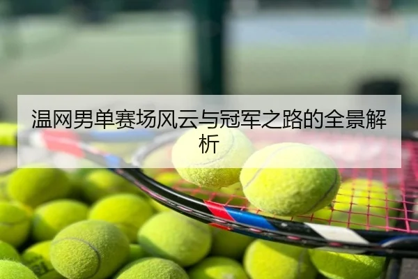 温网男单赛场风云与冠军之路的全景解析
